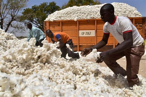 Better Cotton Hosts Multistakeholder Event in West Africa