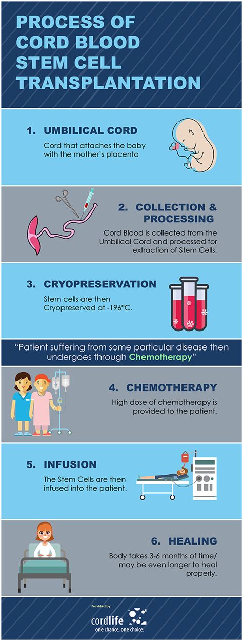 Process of cord blood stem cell transplantation | Infographics