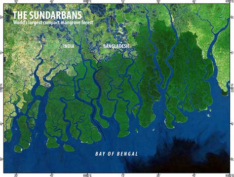 maps&maps: The Sundarbans