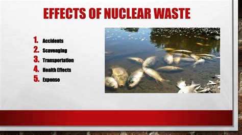 PPT - Nuclear Waste- Causes & Effects PowerPoint Presentation, free ...