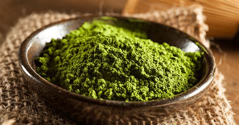 The Green Gold: 6 Things you Need to Know about Matcha Tea