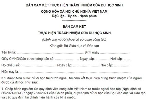 Mẫu bản cam kết thực hiện trách nhiệm của du học sinh theo quy định mới nhất? Hồ sơ dự tuyển đi ...