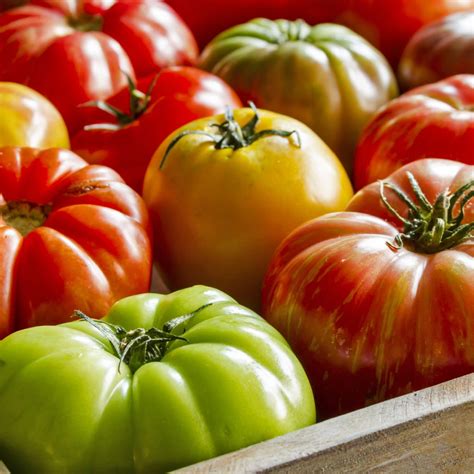 The 5 Best Beefsteak Tomato Varieties To Grow In Your Garden