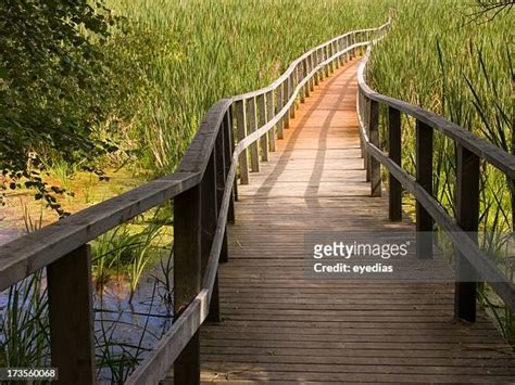 Sackville New Brunswick Photos and Premium High Res Pictures - Getty Images