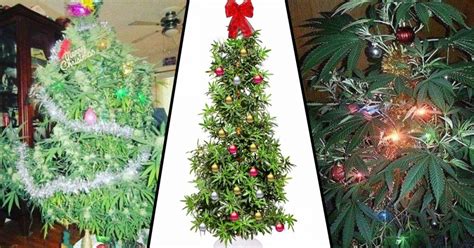 People Are Putting Up Weed Christmas Trees To Celebrate Christmas