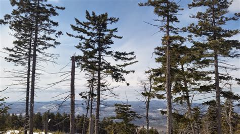 Ragged Mountain Ski Resort- Danbury, NH