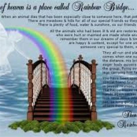 Image result for printable rainbow bridge poem | Rainbow bridge poem, Rainbow bridge, Pet sympathy