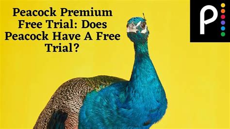 How to get Peacock free trial 2022 - WHYD