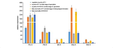 | Expression of regulatory factors during chlamydospore and conidium... | Download Scientific ...