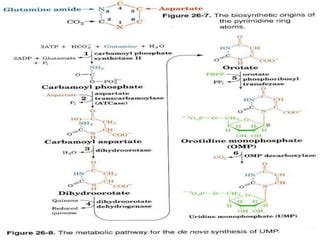 PYRIMIDINE SYNTHESIS | PPT