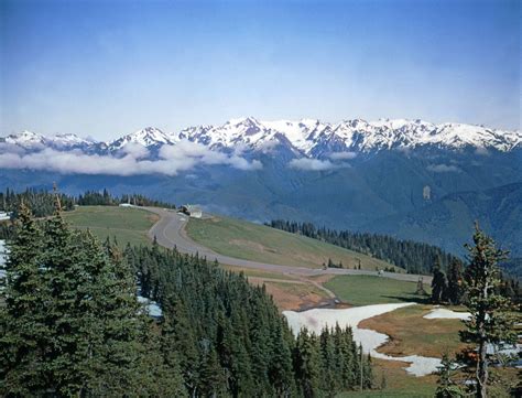 Olympic National Park - Kids | Britannica Kids | Homework Help