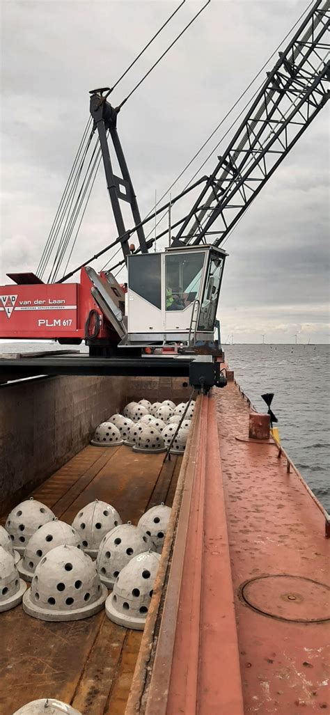 200 'Reef balls' installed in lake IJsselmeer - Doggerland Offshore