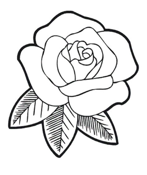 Simple Drawing Roses at GetDrawings | Free download