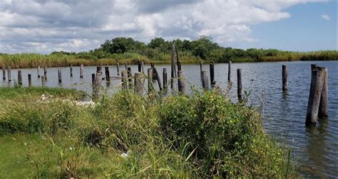 Bayou Sauvage National Wildlife Refuge - Go Wandering