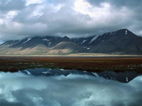 Spitsbergen wildlife cruise | Responsible Travel