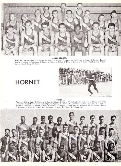 Vintage Hornets