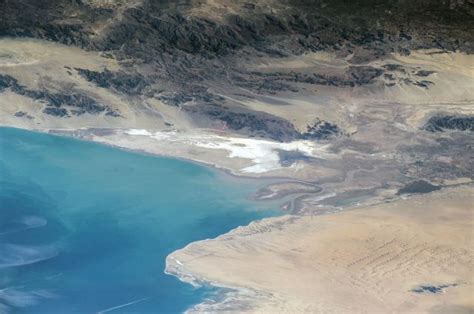 Colorado River delta fish risk extinction through interbreeding due to lack of freshwater | UCLA