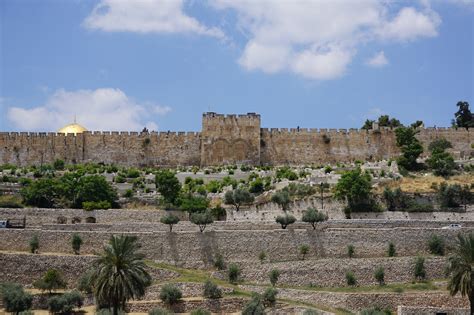 East Gate from the Garden of Gethsemane Jerusalem Israel - World Travel Agency