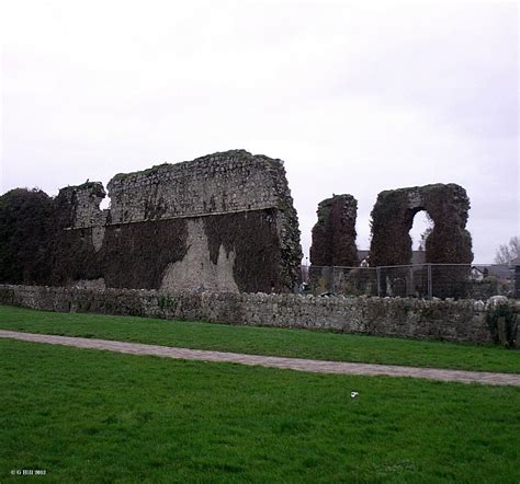 Ireland In Ruins: Clane Abbey Co Kildare