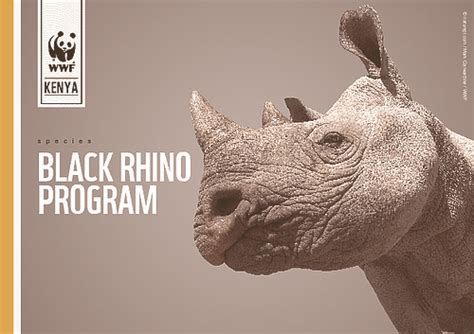 Black Rhino Conservation Programme | WWF Kenya