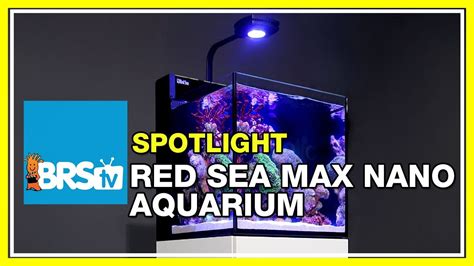 How to set up a nano reef tank - Red Sea Max Nano Aquarium | BRStv Spotlight - YouTube