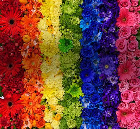 jetfreshflowers-rainbow-flowers-shaded - Jet Fresh Flower Distributors