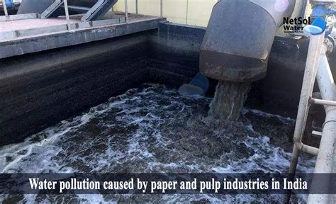 How to solve Water pollution caused by paper and pulp industries