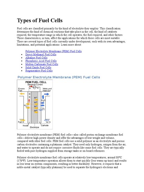 Types of Fuel Cells | PDF | Fuel Cell | Chemistry