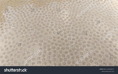 Beautiful Tadpole Eggs Background Tadpoles Embryos Stock Photo 2154954677 | Shutterstock