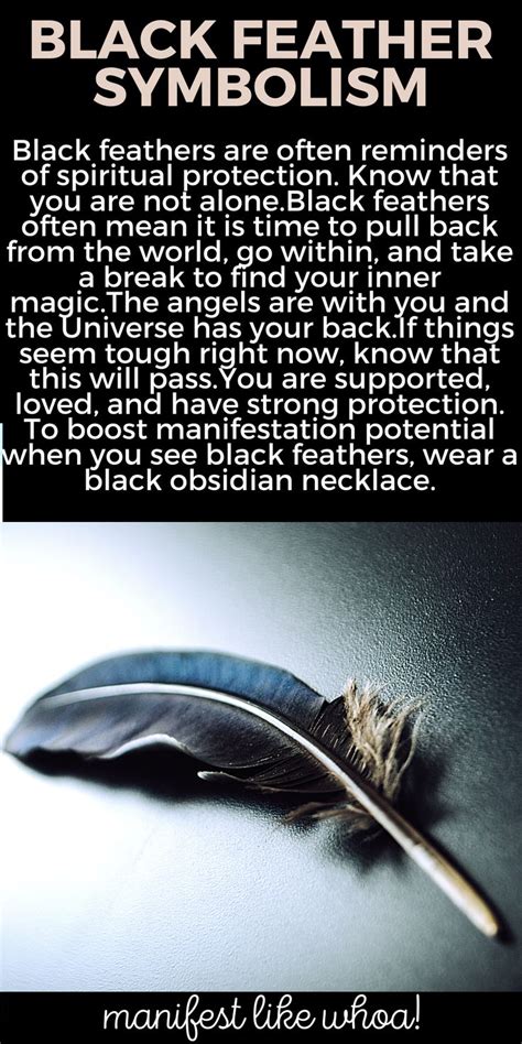 11 Magical Feather Color Meanings For Manifestation | Black feather ...