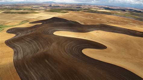 Wheat field during harvest time, Palouse hills, Washington State, USA | Windows Spotlight Images