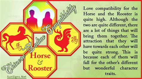 Horse Rooster Compatibility: Adventurous and Workable - Zodiac Signs 101