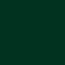 HEX color #013220, Color name: Dark Green, RGB(1,50,32), Windows: 2109953. - HTML CSS Color