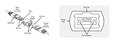 Basics of MTP/MPO Cables - AddOn Networks