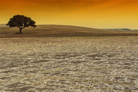 Mysteries of the Iberian Peninsula Stock Image - Image of farmland ...