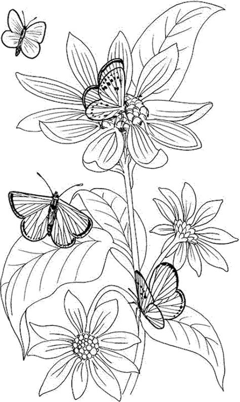 Printable Coloring Pages For Adults Fairies - Coloring Home