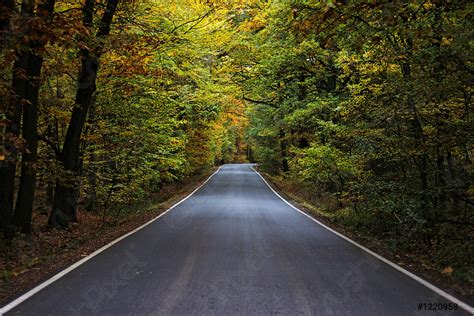 Road in the forest in autumn - stock photo | Crushpixel