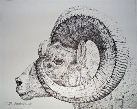 Ram Horns Drawing at PaintingValley.com | Explore collection of Ram Horns Drawing