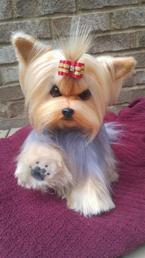 14" life size Yorkie-Yorkshire Terrier puppy dog by brigitte crowe ...