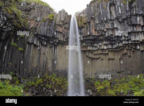 Svartifoss Waterfall and basalt columns, Iceland Stock Photo - Alamy