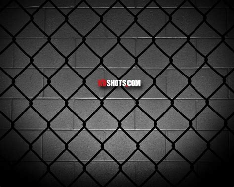 UFC Cage Wallpapers - Top Free UFC Cage Backgrounds - WallpaperAccess