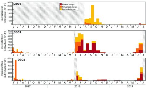 Meroplankton larvae collected in the sediment trap at each mooring... | Download Scientific Diagram