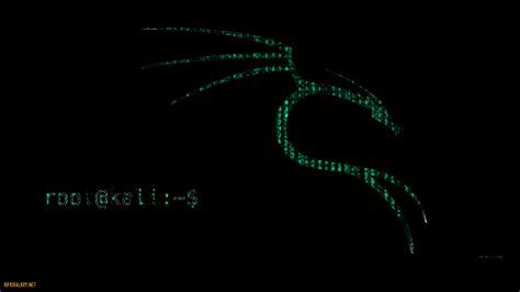 Kali Linux Wallpapers 1920x1080 - Wallpaper Cave