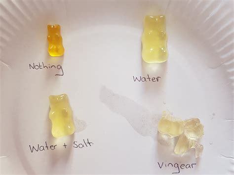 Science Experiments - Knockainey National School