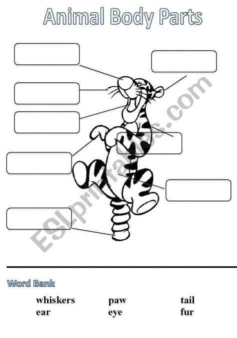 View Body Parts Animals Worksheets Background | methodsofbusinesssuccess