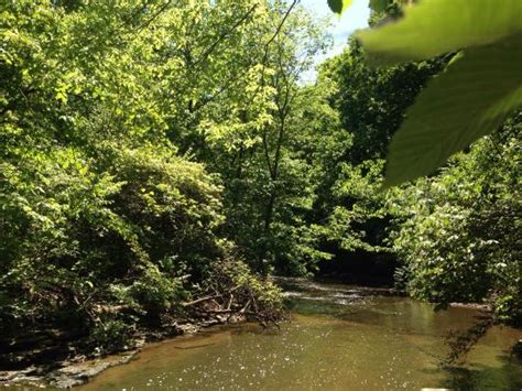 Waterfall Glen Forest Preserve (Darien) - 2020 All You Need to Know BEFORE You Go (with Photos ...