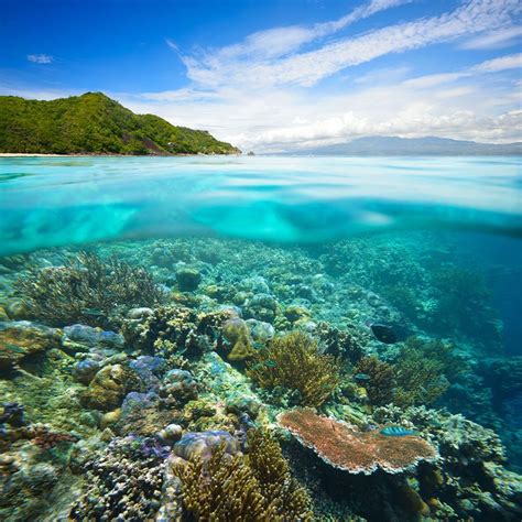 Top 30 Snorkeling Spots in the Philippines: Hidden Gems