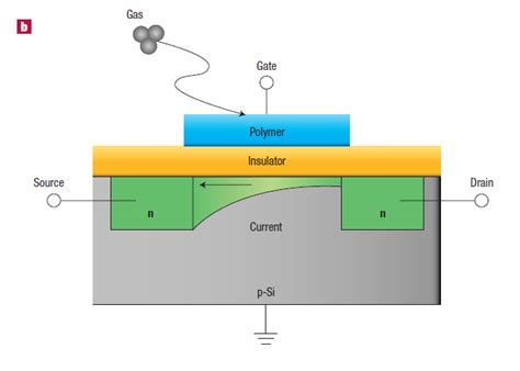 Conducting Polymers Application | IntechOpen