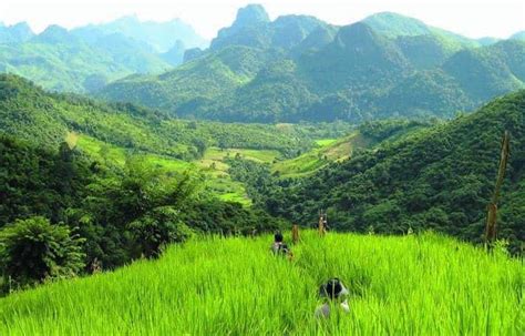 Hmong & Khmu Hill Tribe 2-Day Trek & Homestay: Luang Prabang, Laos