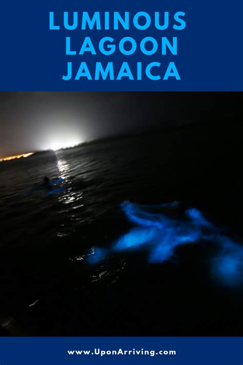 The Luminous Lagoon, Jamaica! | Luminous lagoon jamaica, Jamaica, Blue lagoon jamaica